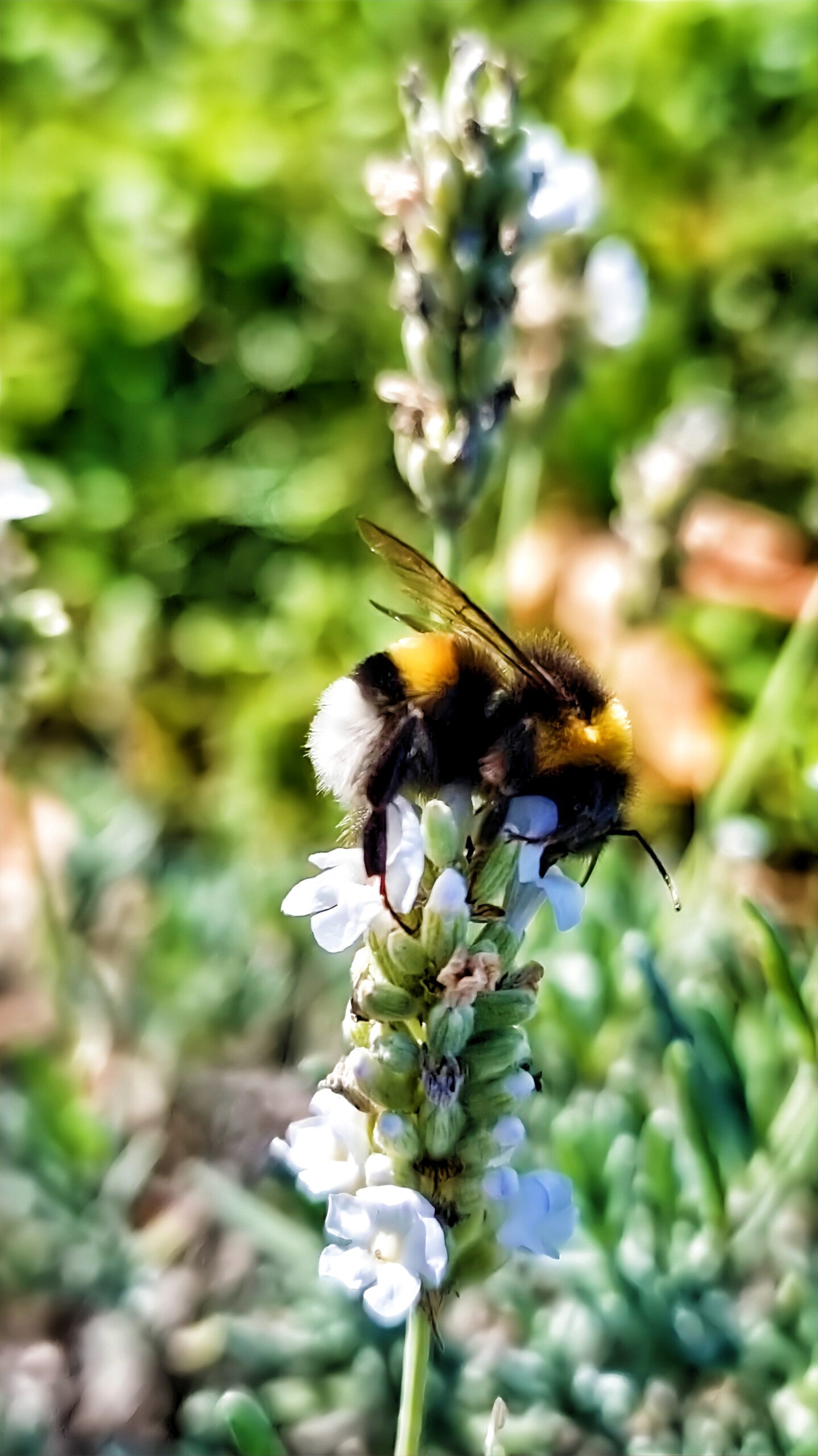Hobby Fotografie