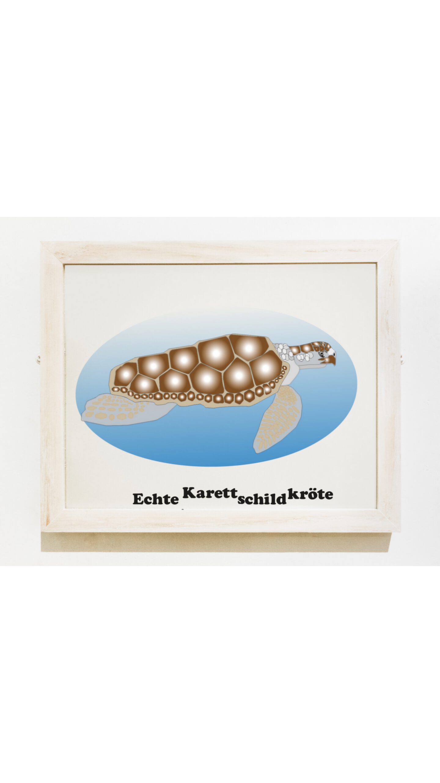 Grafik Gestaltung